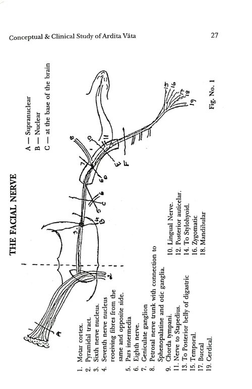 Conceptual And Clinical Study of Ardita Vata ( Facial Palsy)